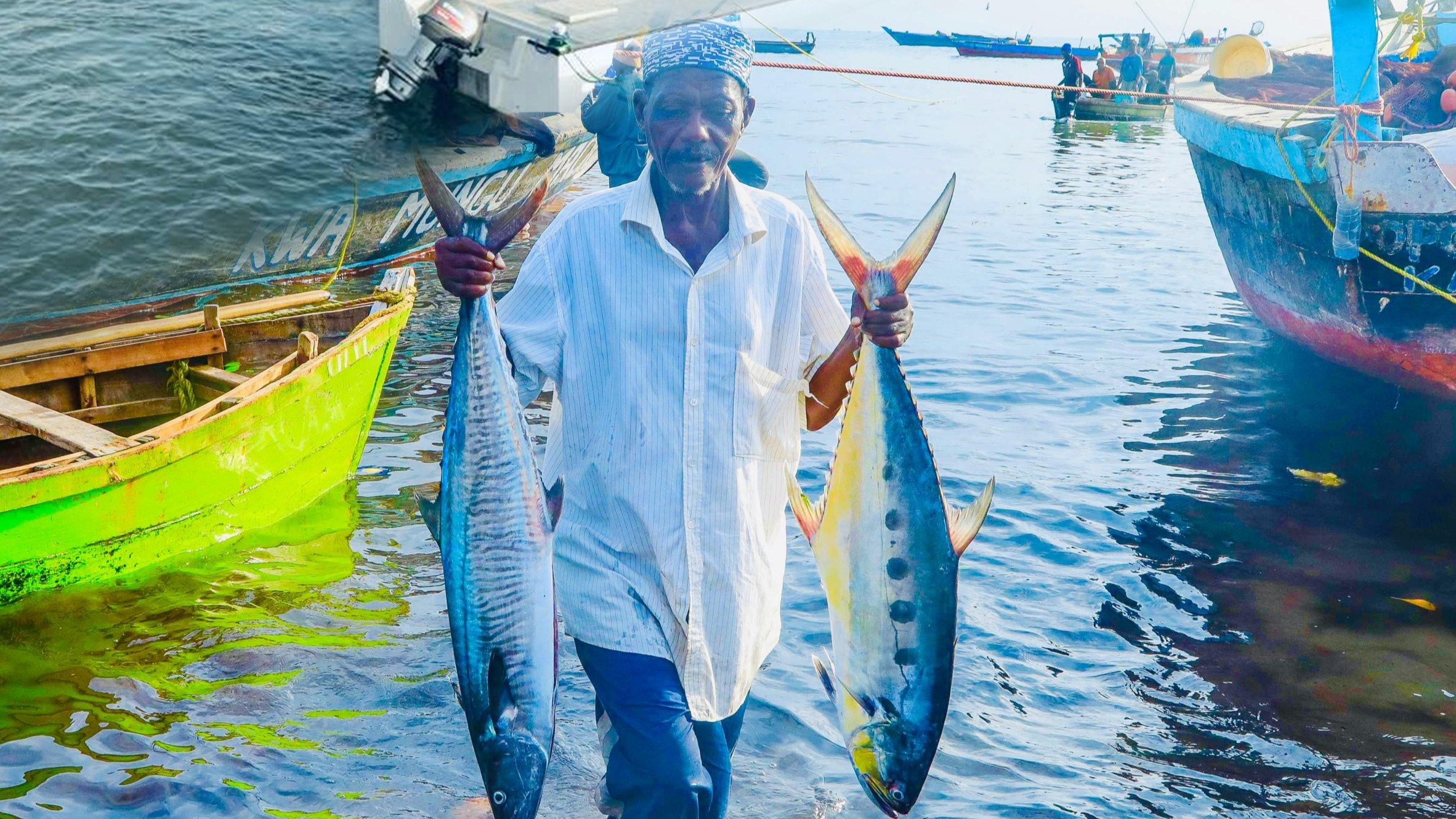 Utoaji wa vibali (Uvuvi)