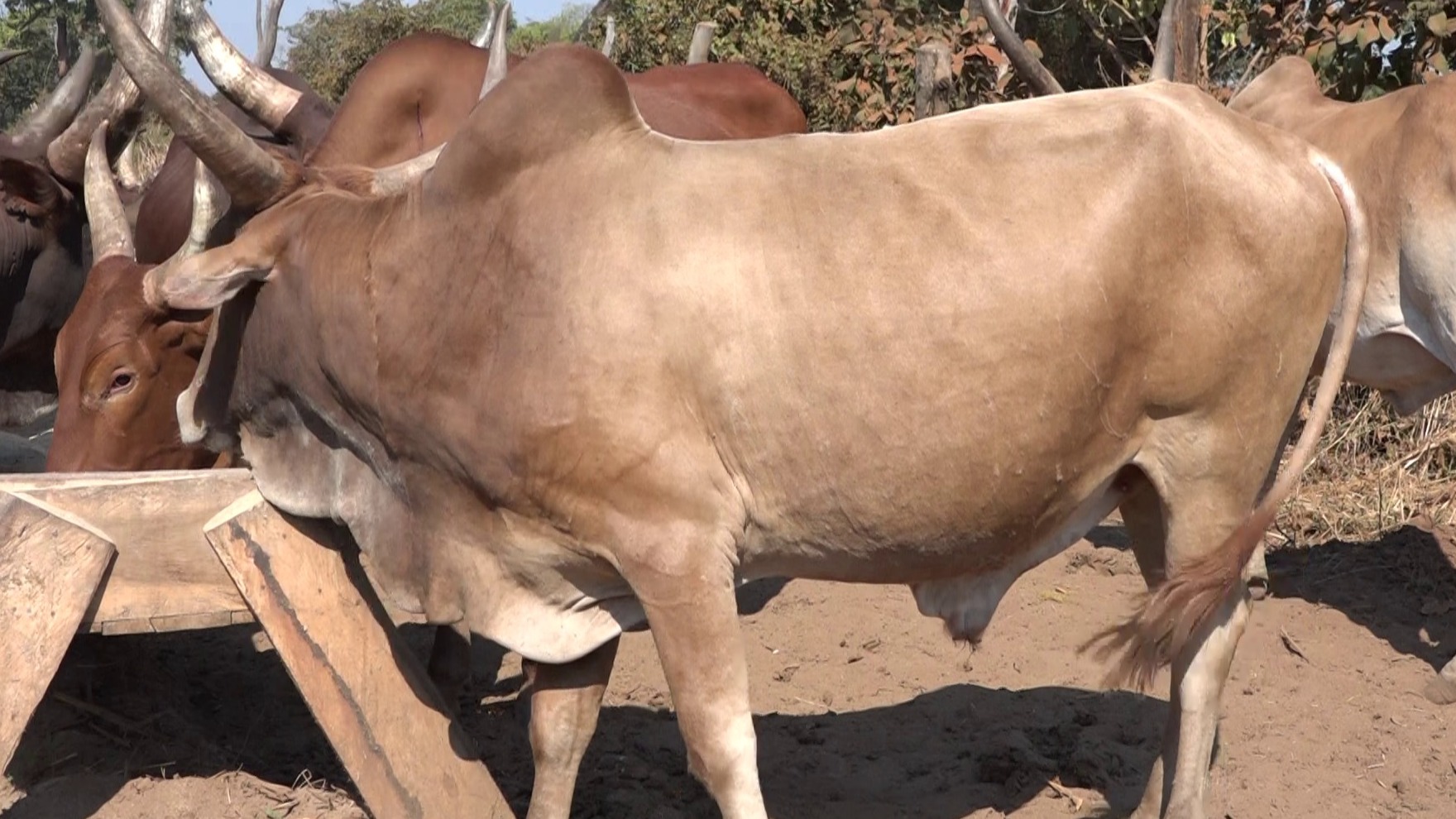 Uwezeshaji