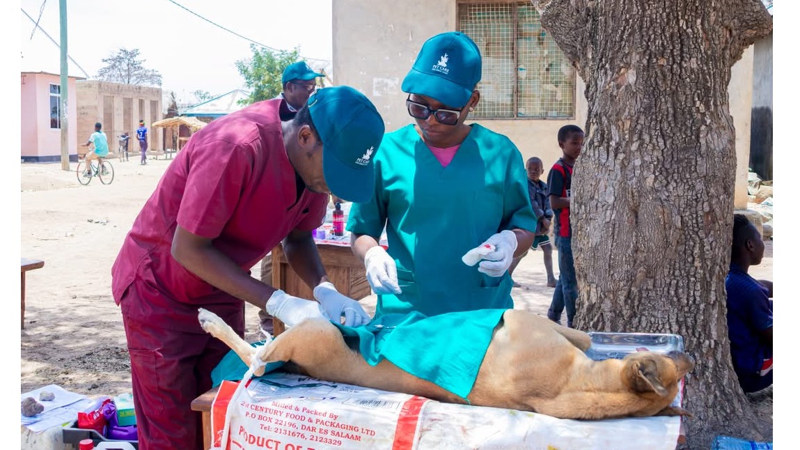 DC NZEGA AWAKARIBISHA WATANZANIA KATIKA KILELE CHA MAADHIMISHO YA KICHAA CHA MBWA