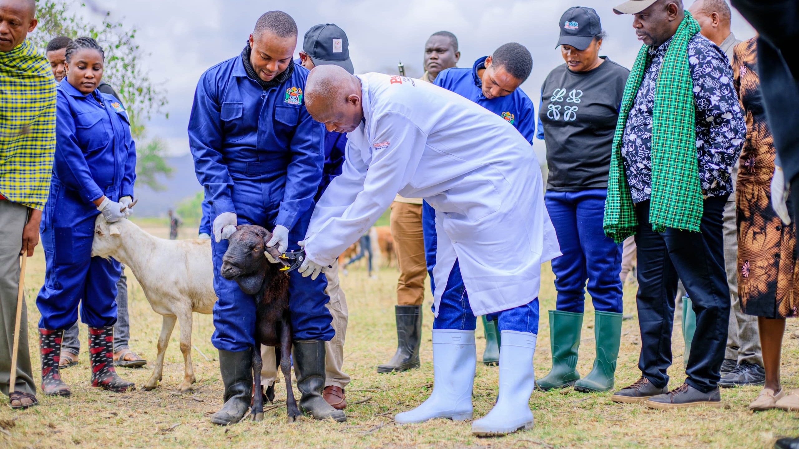 ZOEZI LA UTOAJI CHANJO NA UTAMBUZI WA MIFUGO LAANZA RASMI MKOANI MANYARA