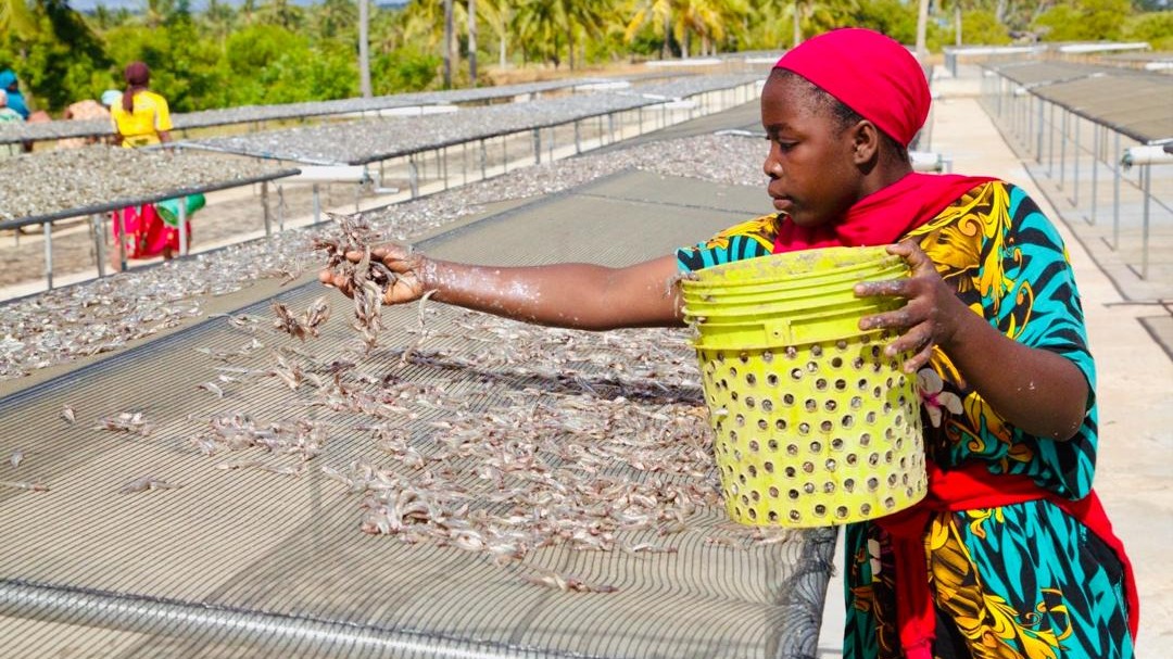 CHANJA ZENYE THAMANI YA MILIONI 117 ZATOLEWA KWA WAVUVI KILWA
