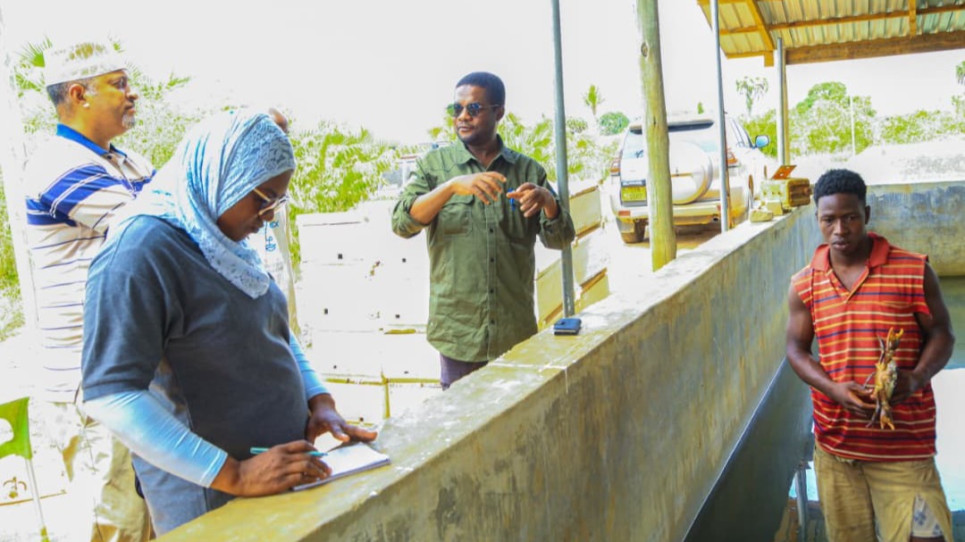 UFUGAJI SATO BAHARI, KAA NI FURSA MUHIMU KATIKA MASOKO YA MAZAO YA UVUVI - PROF. SHEIKH