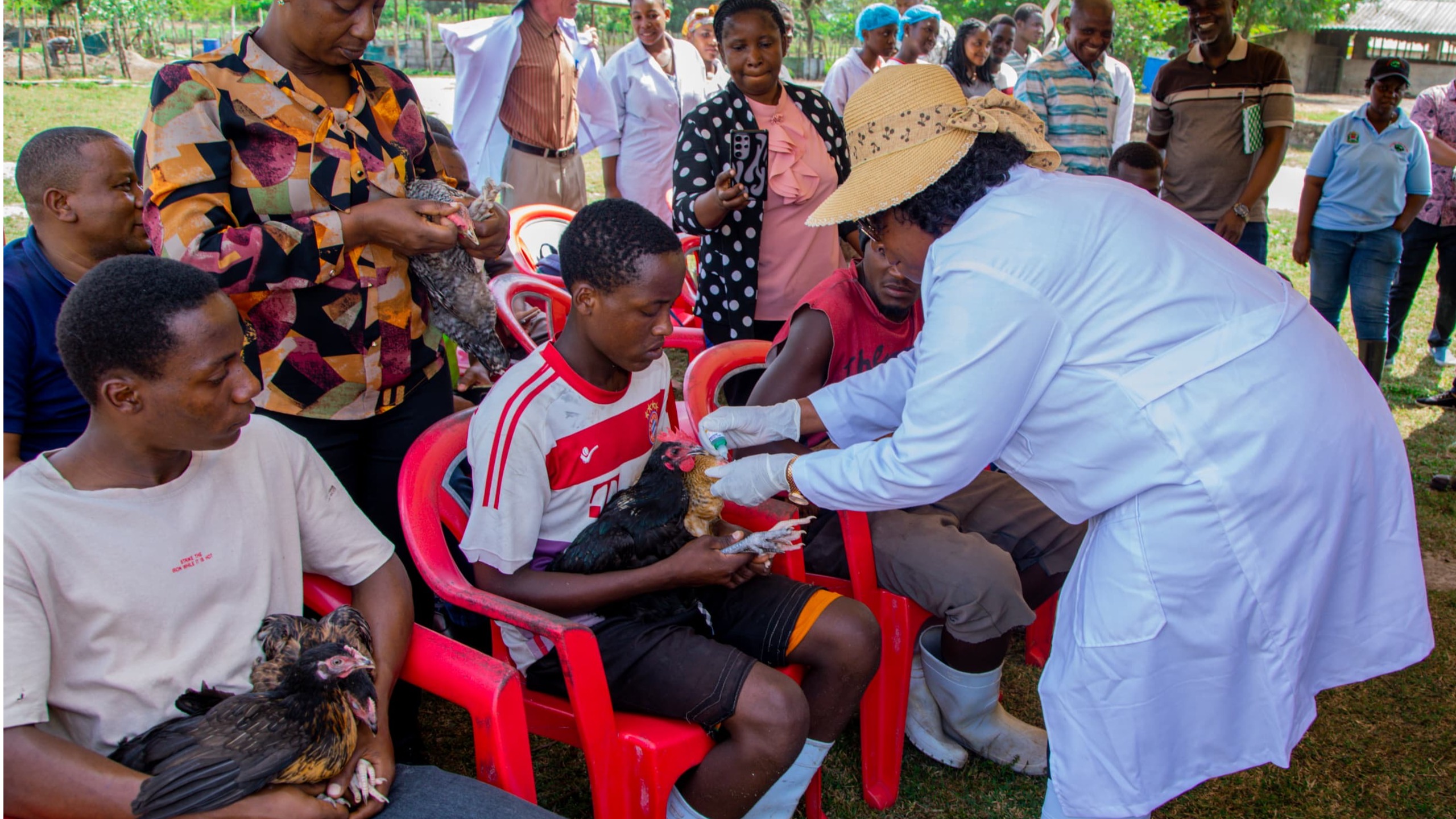 SERIKALI YAANZA KUTEKELEZA CHANJO YA MIFUGO MKOA WA DAR ES SALAAM