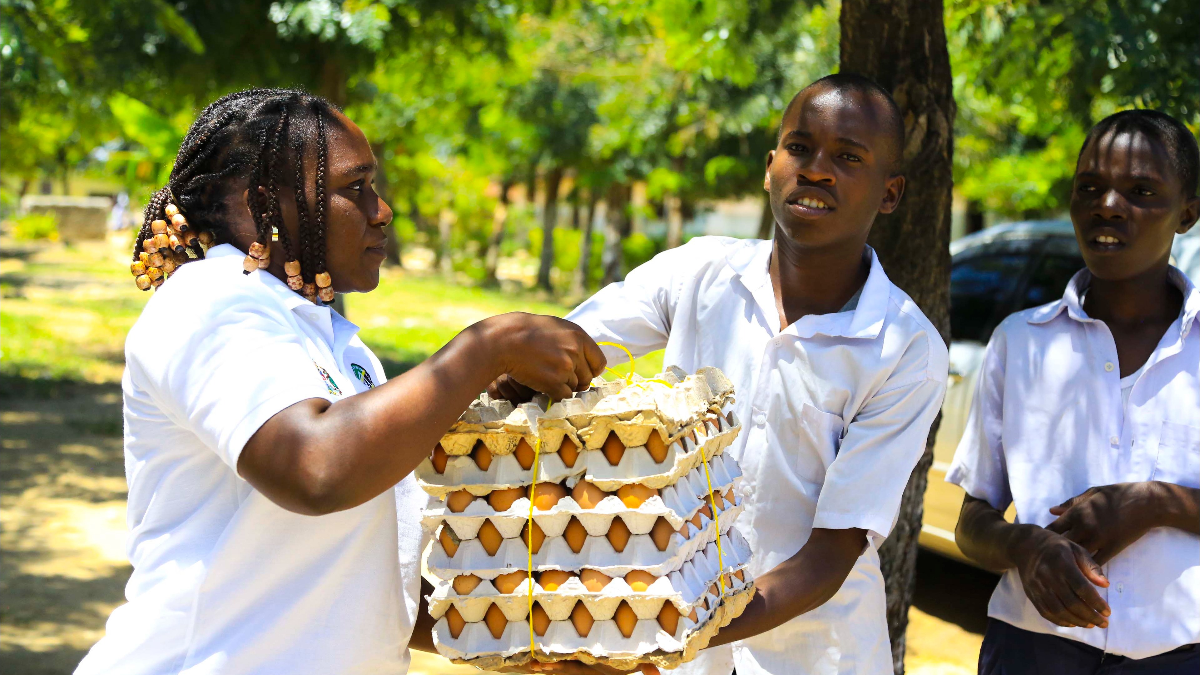 SERIKALI YAHAMASISHA MATUMIZI YA MAYAI, MAZIWA TANGA
