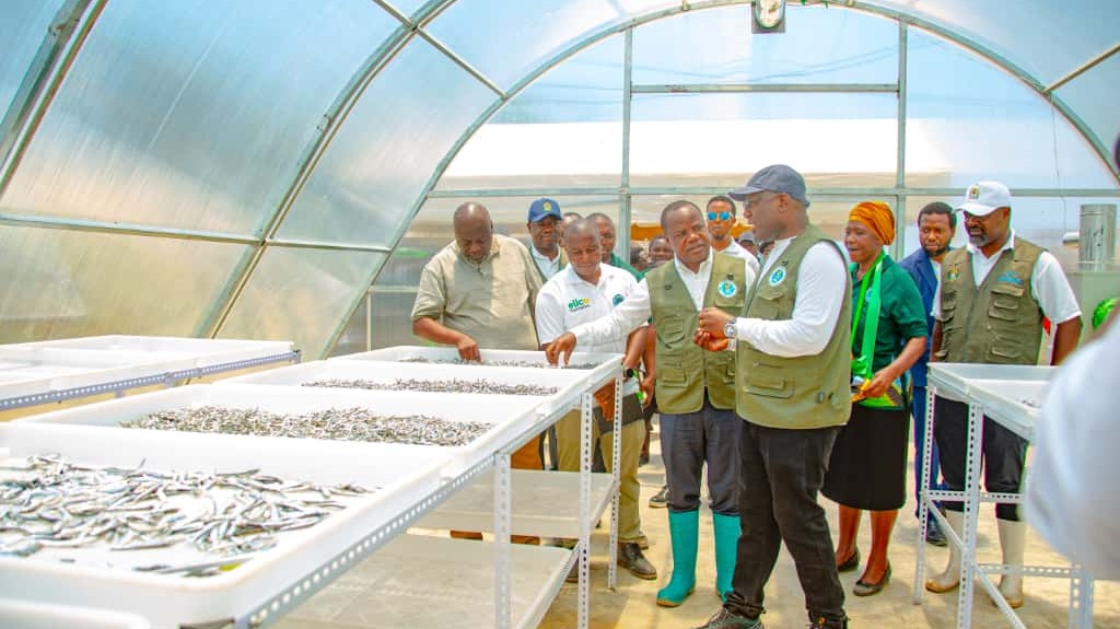 WAVUVI ZIWA NYASA WAKABIDHIWA MTAMBO WA KUKAUSHIA DAGAA,SOKO LA  SAMAKI