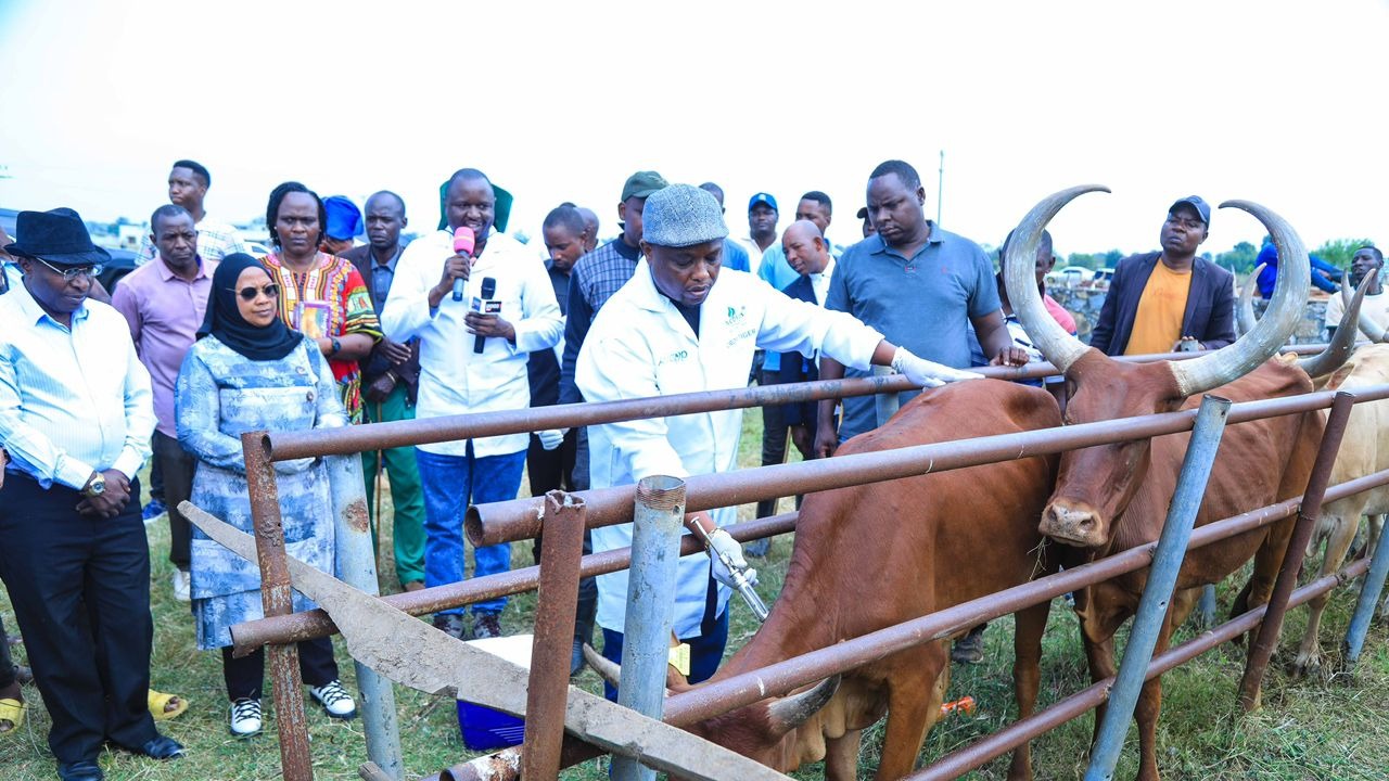 CHANJO NA UTAMBUZI KUIWEZESHA MIFUGO KUPATA BIMA