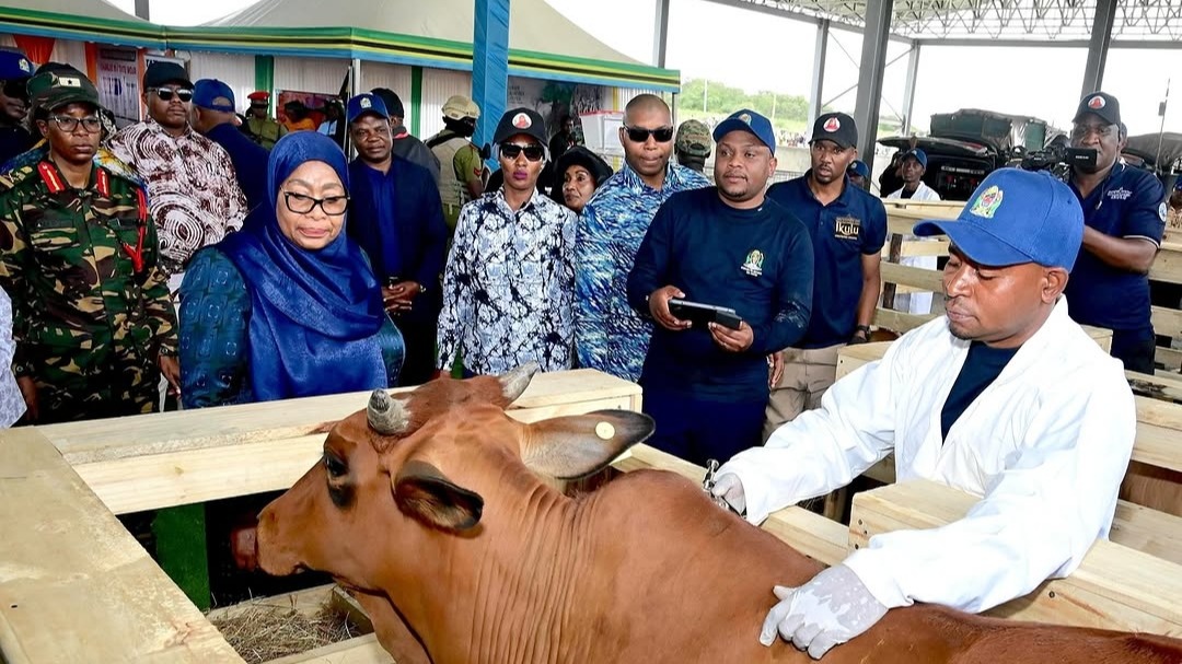 RAIS SAMIA ATOA RUZUKU YA BIL. 216 CHANJO ZA MIFUGO 2025-2029