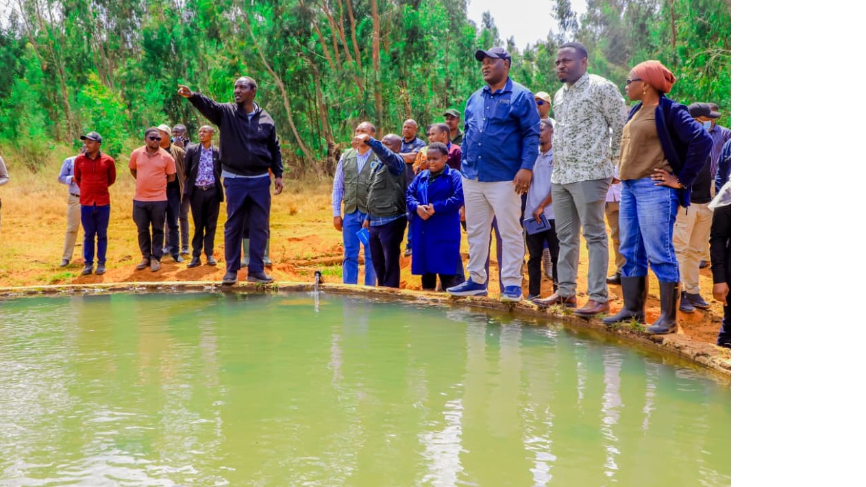 SHAMBA LA MIFUGO SAO HILL KUEKEWA MIFUMO YA UMWAGILIAJI
