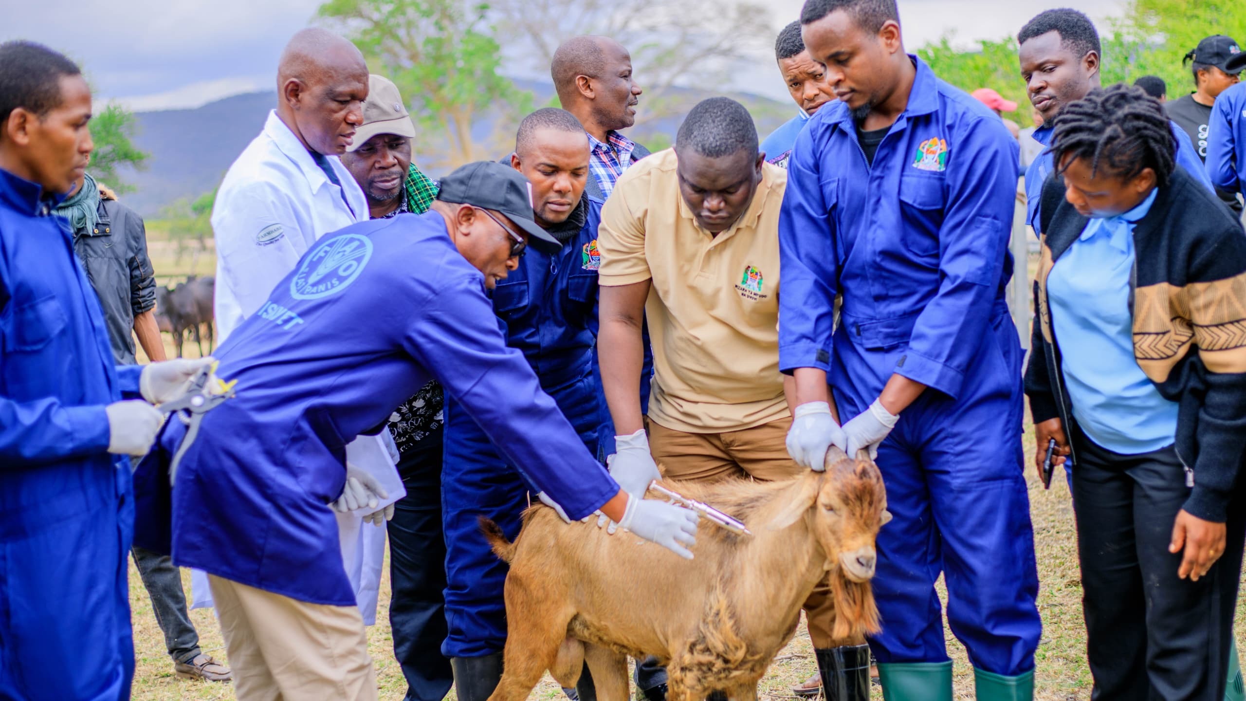 MSIWASIKILIZE WAPOTOSHAJI KUHUSU CHANJO YA MIFUGO-MNYETI