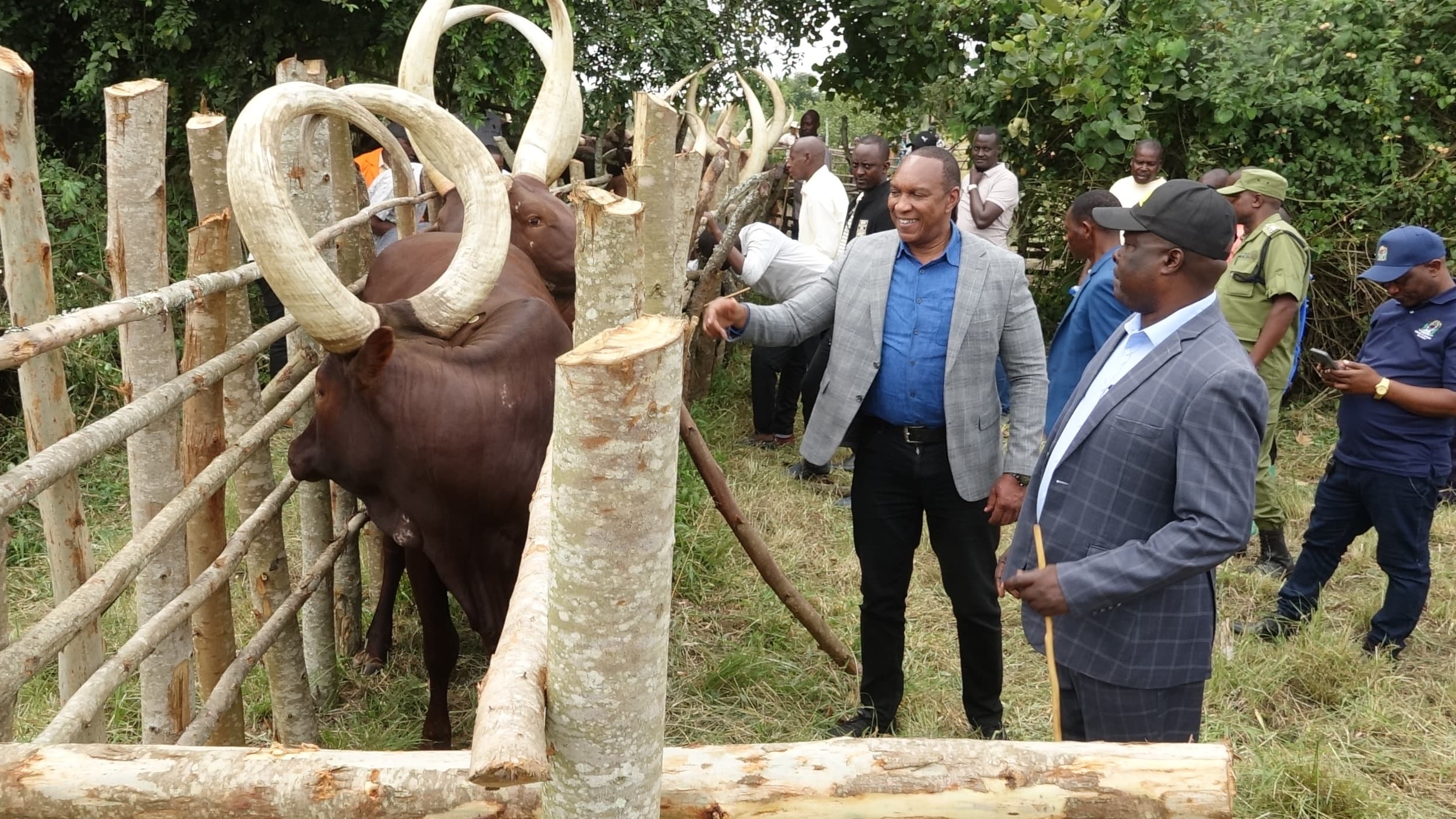 MIFUGO YATAKIWA VITUONI KWA CHANJO NA UTAMBUZI