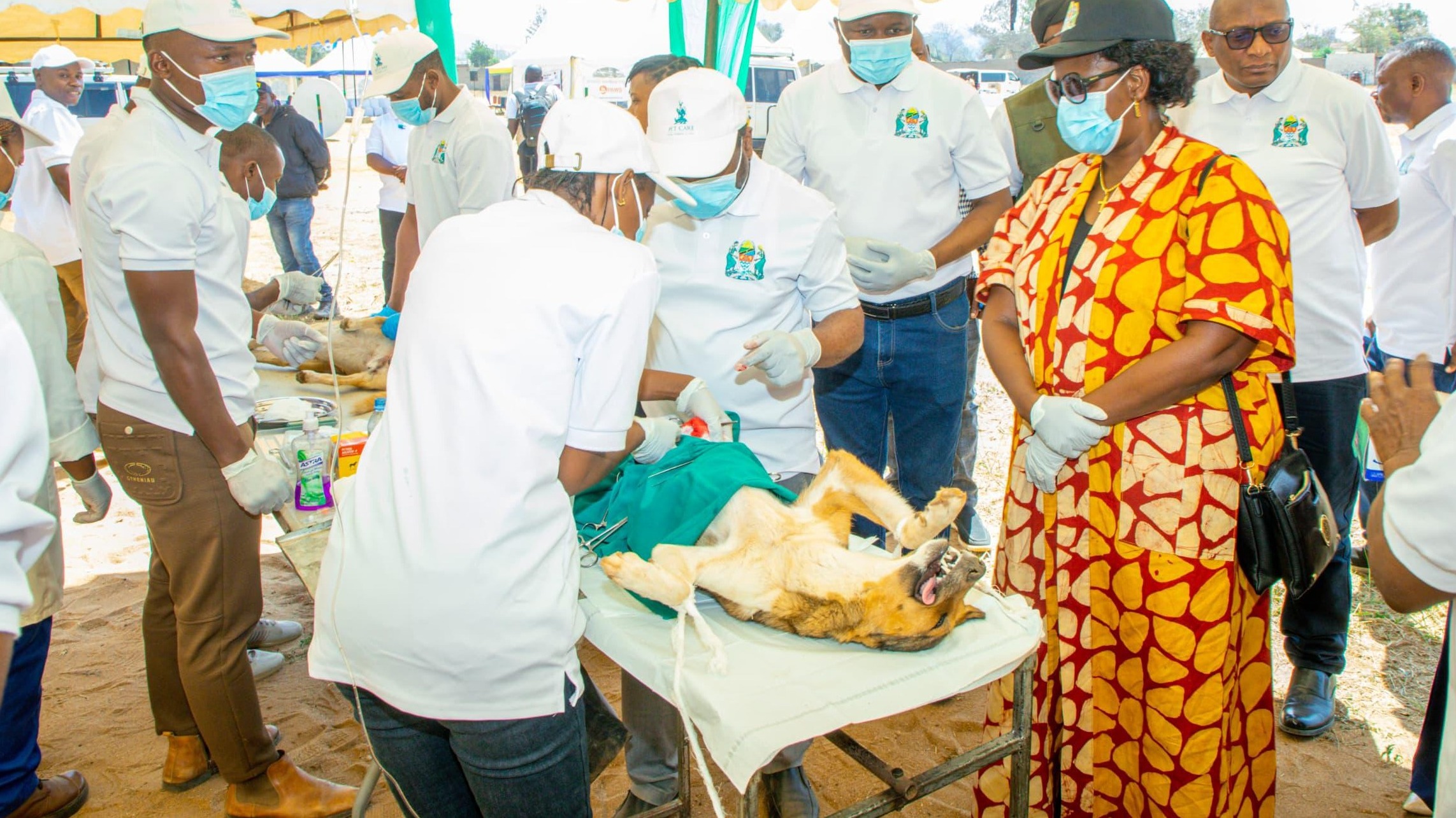 TANZANIA YA TATU AFRIKA MPANGO RASMI WA KUDHIBITI KICHAA CHA MBWA