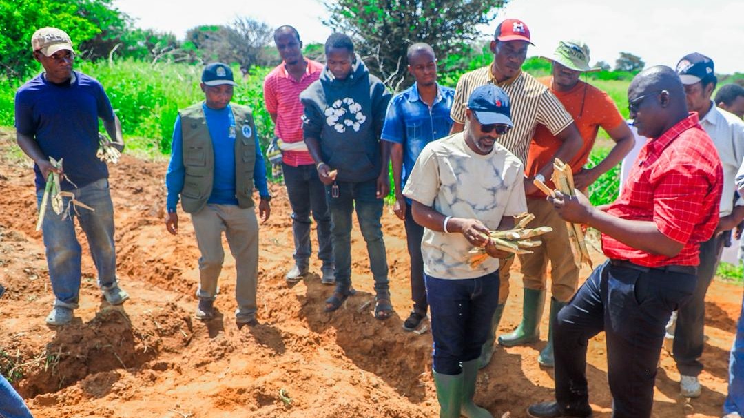 MRADI WA MALISHO J-CRISD WAANZA KUTEKELEZWA CHAMWINO