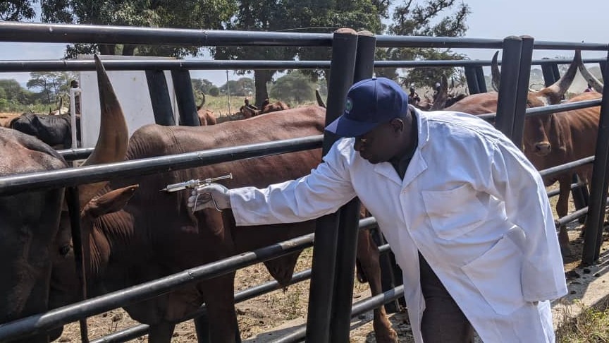 WAFUGAJI KATAVI WAHIMIZWA KUJITOKEZA KWENYE UCHANJAJI NA UTAMBUZI WA MIFUGO.