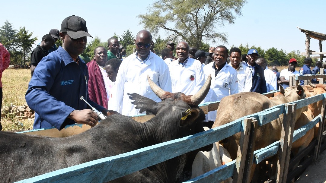 Serikali Yatoa Onyo kwa Watakaowatoza Wafugaji Fedha Kwenye Kazi Uchanjaji na Utambuzi wa Mifugo