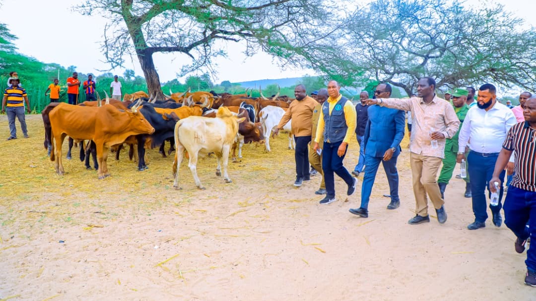 DKT. BASHIRU AWAONDOLEA WAFANYABIASHARA KIKWAZO CHA KUSAFIRISHA MIFUGO